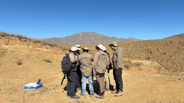 Great Southern Copper commences IP survey at Cerro Negro